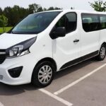 vivaro__1