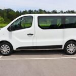 vivaro__2