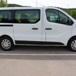 vivaro__5